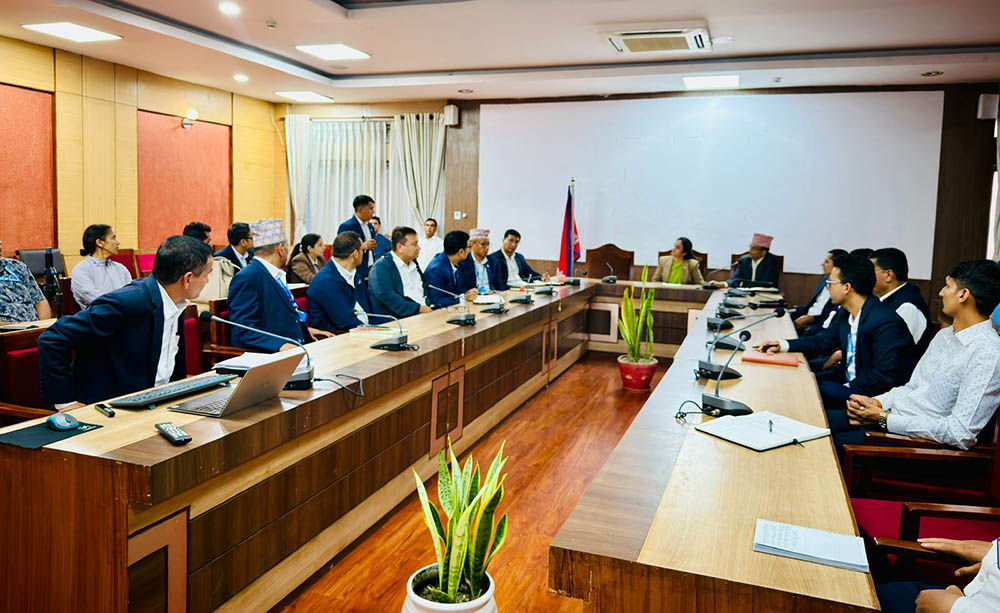 विपदमा मूल्य बढाउनेलाई कडा कारबाही गर्न निर्देशन, १६ अनुगमन टोली गठन