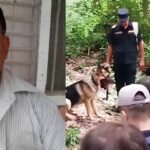 गोरुसिंगे जंगलभित्र छिरेका पूर्वमेयर सिंह अझै सम्पर्कविहीन