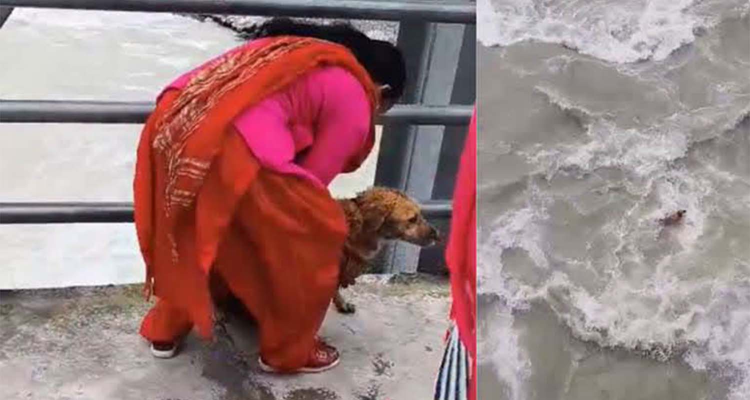 कुकुरलाई पुलबाट सेती नदीमा फालिएको भिडियो भाइरल, महिलाको खोजीमा प्रहरी (भिडिओ सहित)