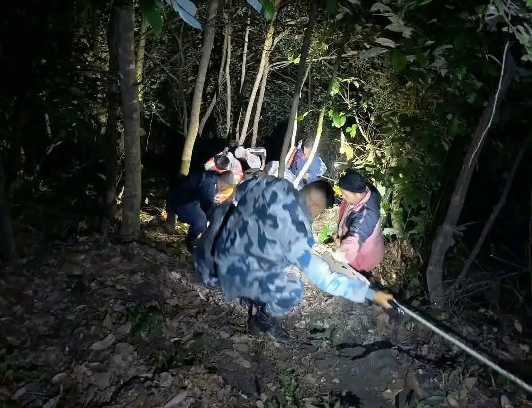 सेल्फीडाँडामा माइक्रोबस दुर्घटना, ३ जना घाइते