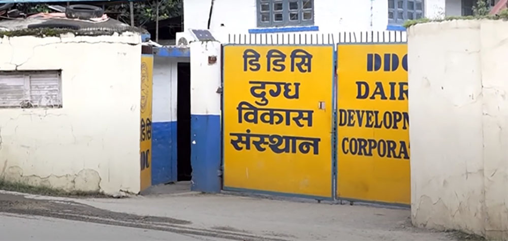 दुग्ध विकास संस्थानले किसानको भुक्तानी अवधि एक महिनामा झार्‍यो