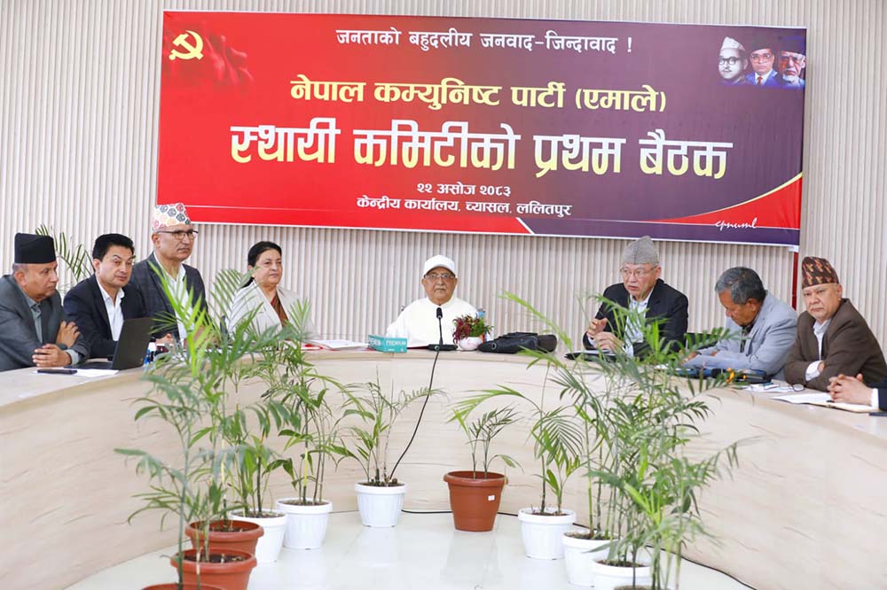 एमालेको स्थायी कमिटी बैठकले के के निर्णय गर्‍यो ?