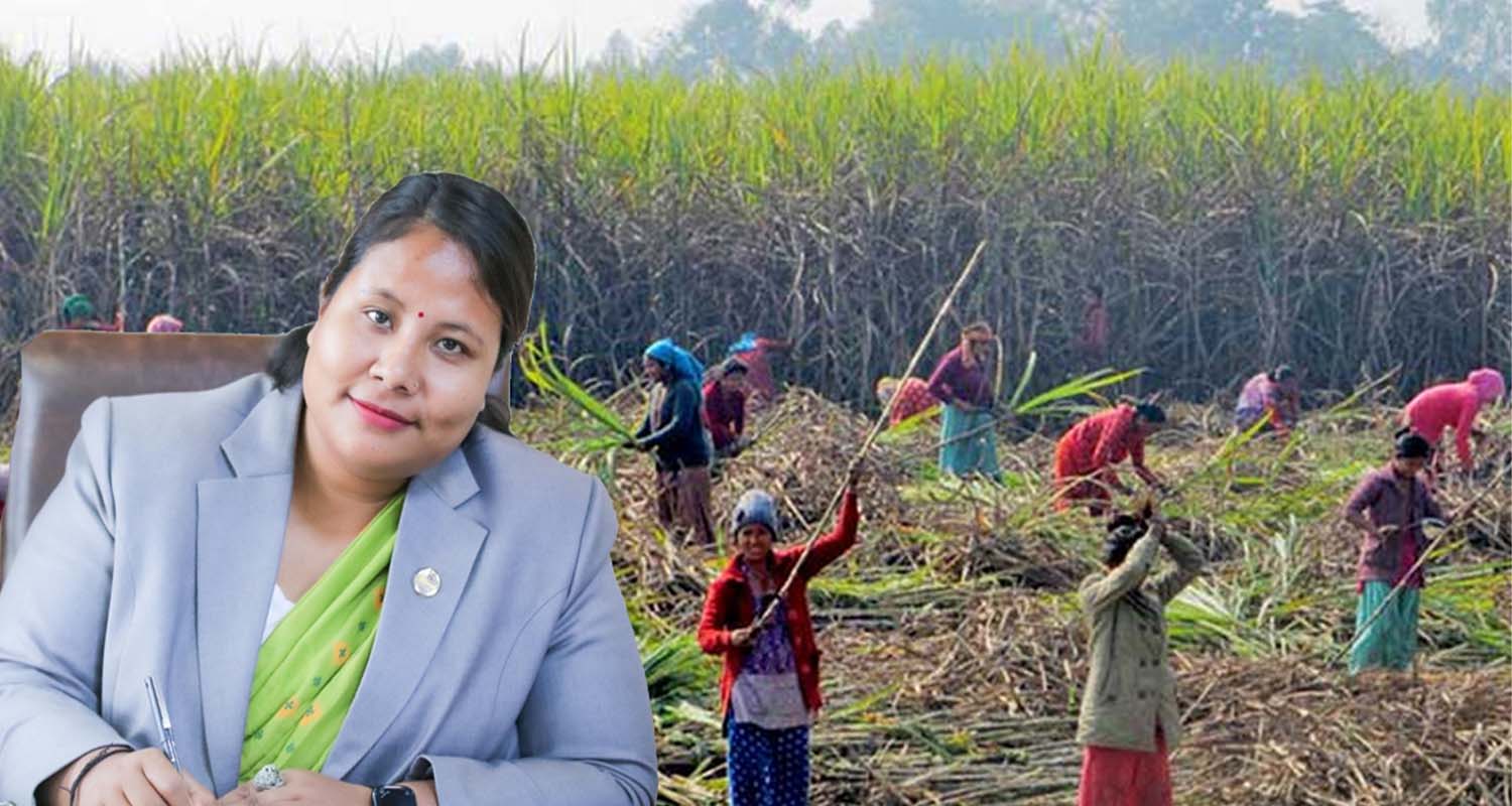 उखु किसानलाई सरकारले डेढ अर्ब रुपैयाँ अनुदान दिने