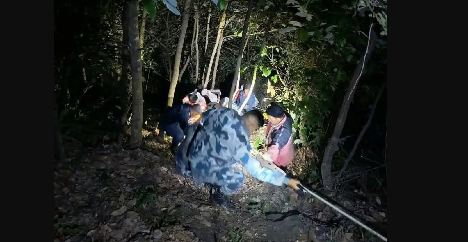 सेल्फीडाँडामा माइक्रोबस दुर्घटना, ३ जना घाइते