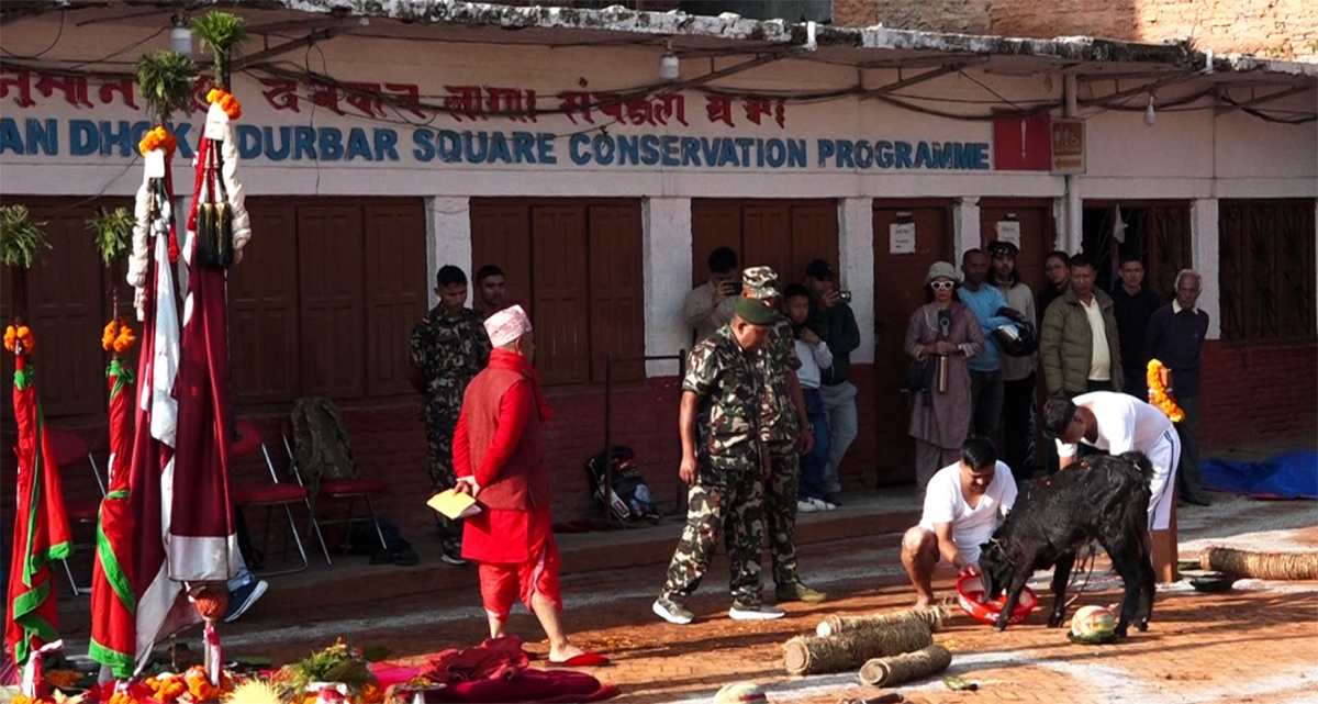 ऐतिहासिक परम्परा कायम राख्दै मौलो तथा निसान पूजा सम्पन्न