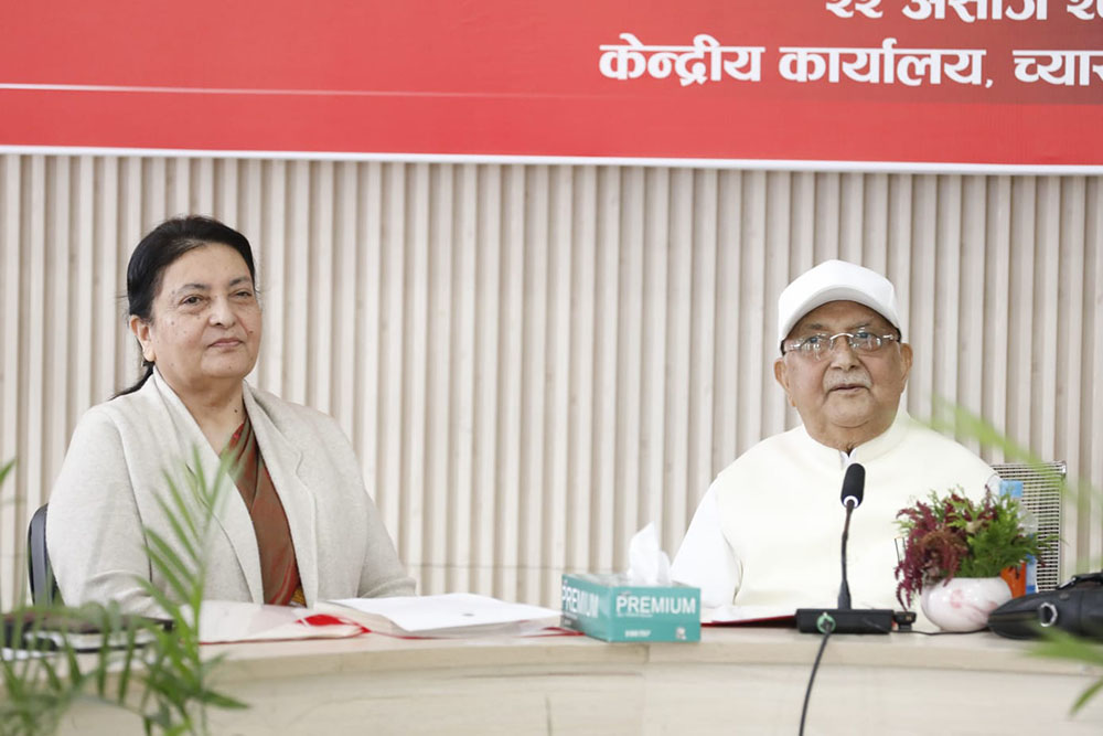 विद्या भण्डारी ११ वर्षपछि एमाले बैठकमा (भिडिओ)